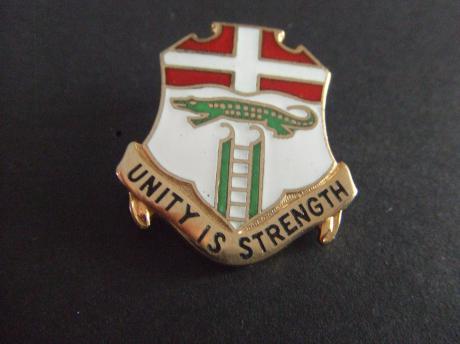 Unity is Strenght 6th infantry regiment